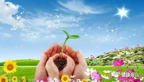 最新爆料珍爱生命图片,共筑安全防线——最新爆料图片警示录